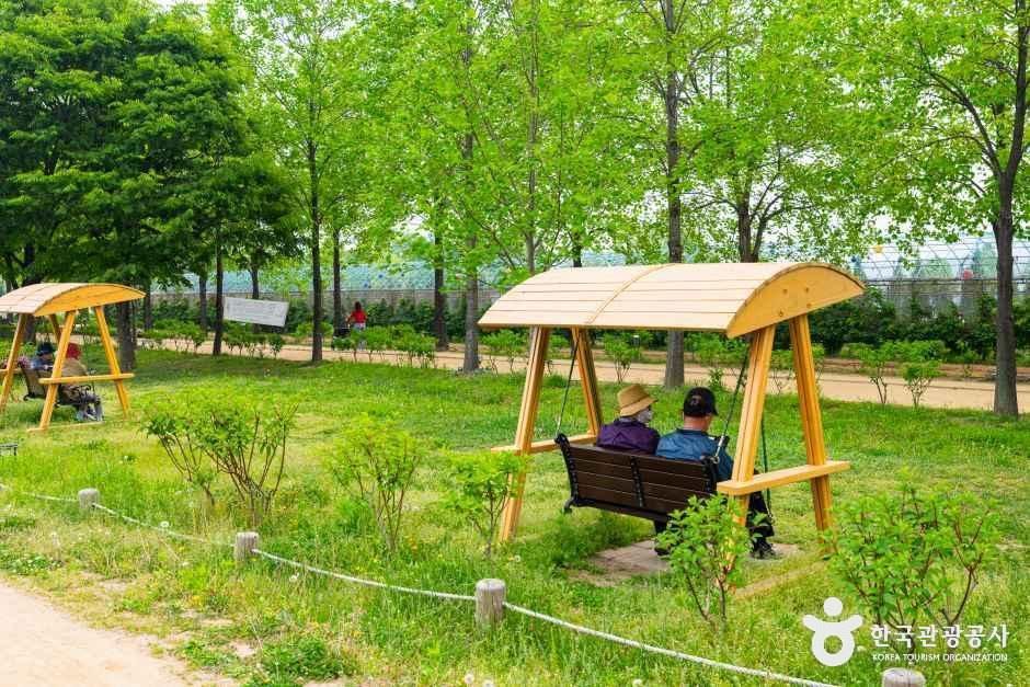thumbnail-구리한강시민공원(코스모스공원)-14