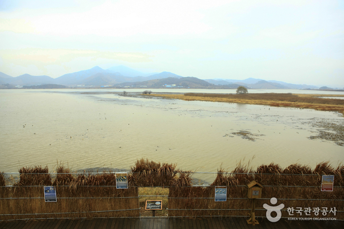 Junam Reservoir (주남저수지)