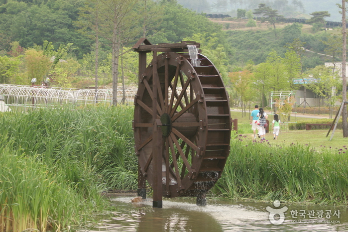 Bandi Land (무주 반디랜드)