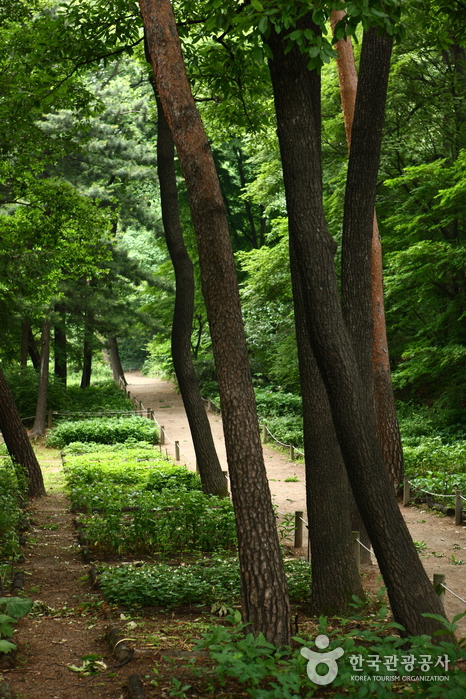 洪陵樹木園（홍릉수목원）