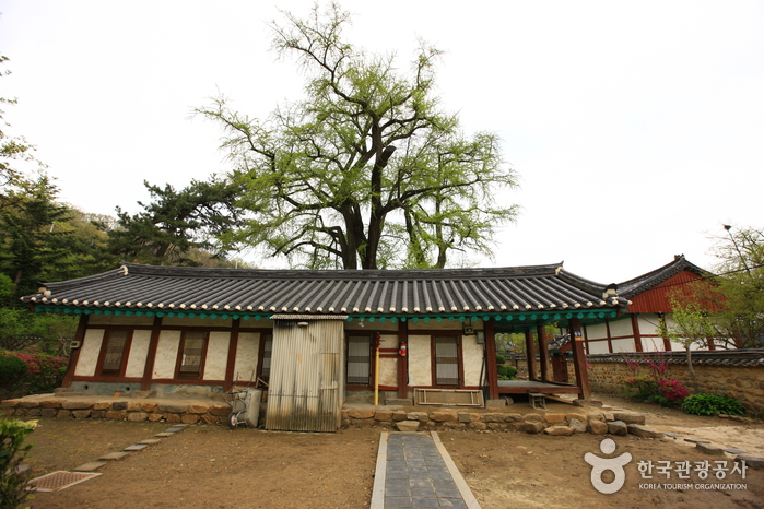Jeonjuhyanggyo Confucian School (전주향교)