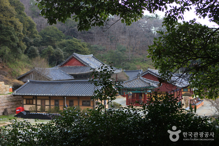 µ¿¹é½£¿¡¼ ¹Ù¶ó º» ¹é·Ã»ç