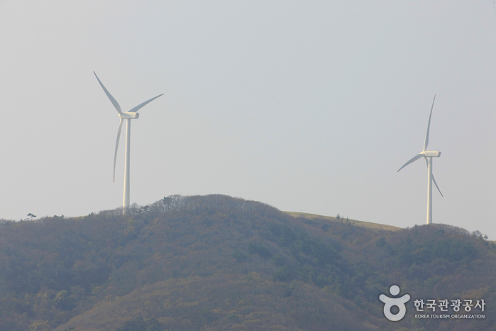 Eco Green Campus [Daegwallyeong Samyang Ranch] (에코그린 캠퍼스, 구 대관령 삼양목장)