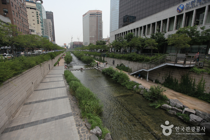 청계천 사진16