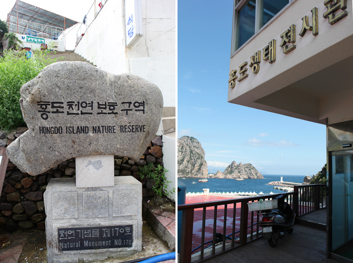 홍도천연보호구역의 속살을 살필 수 있는 홍도생태전시관
