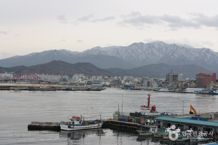 동명항과 속초항의 전경