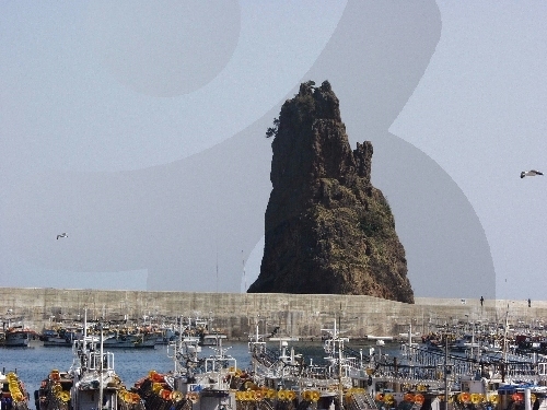 Ulleungdo Island (울릉도)