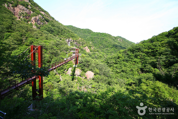 사령관계곡으로 가는 길에서 본 출렁다리