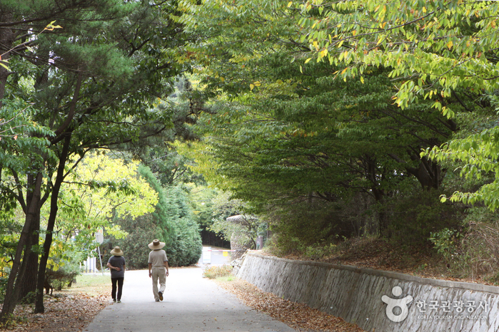 스트레스는 잠시 잊고 산책을 즐겨보자