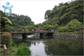 Cheonjiyeon Falls
