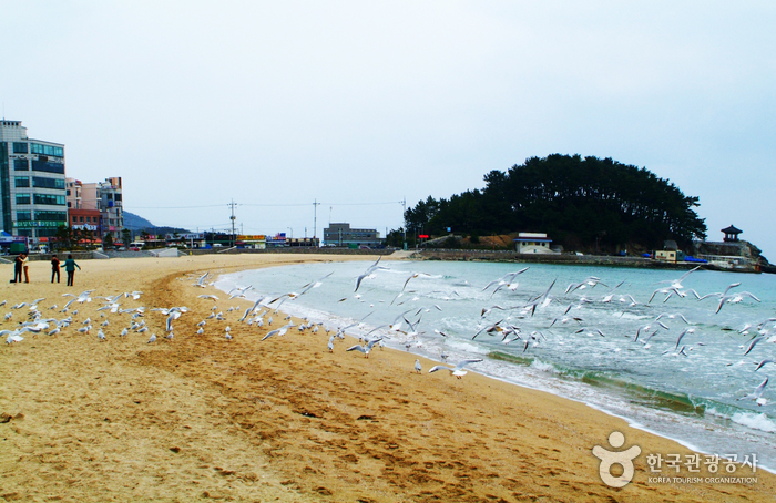 Songjeong Beach (송정해수욕장)
