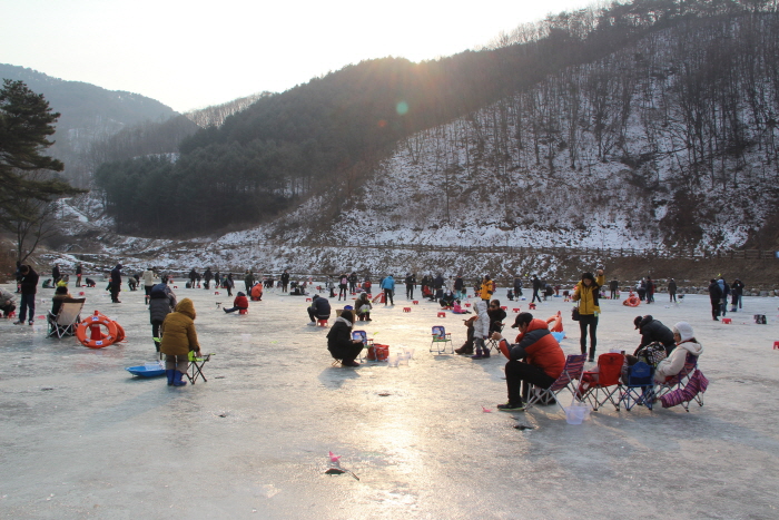 Фестиваль форели в уезде Янпхён (양평 수미마을 빙송어축제)
