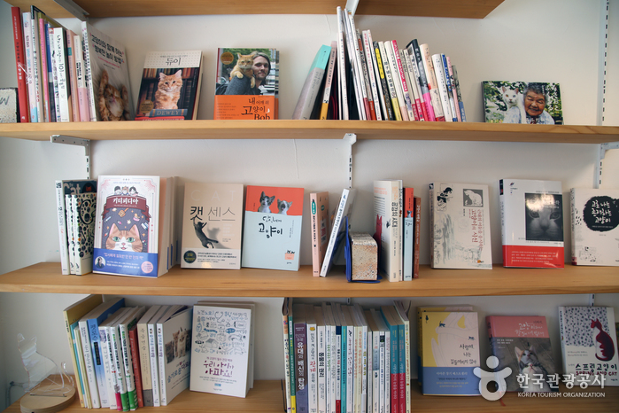 고양이책방 슈뢰딩거2