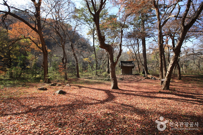 Bosque Seonghwangrim de Seongnam-ri en Wonseong (원성 성남리 성황림)