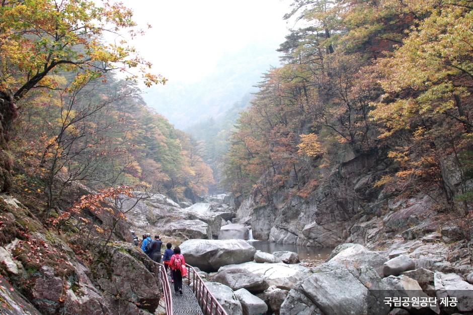 Национальный парк гор Одэсан (오대산국립공원)15