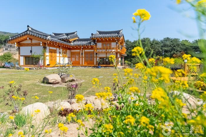 Bulguksa Hanok Farm Stay [Korea Quality] / 불국사한옥팜스테이 [한국관광 품질인증]