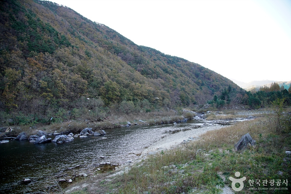 남대천(강릉)