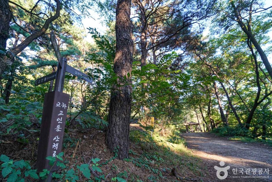 교하동 고인돌 산림욕장