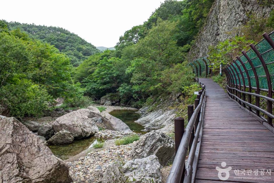 절골협곡 (청송 국가지질공원)