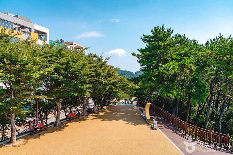 해운대 달맞이길