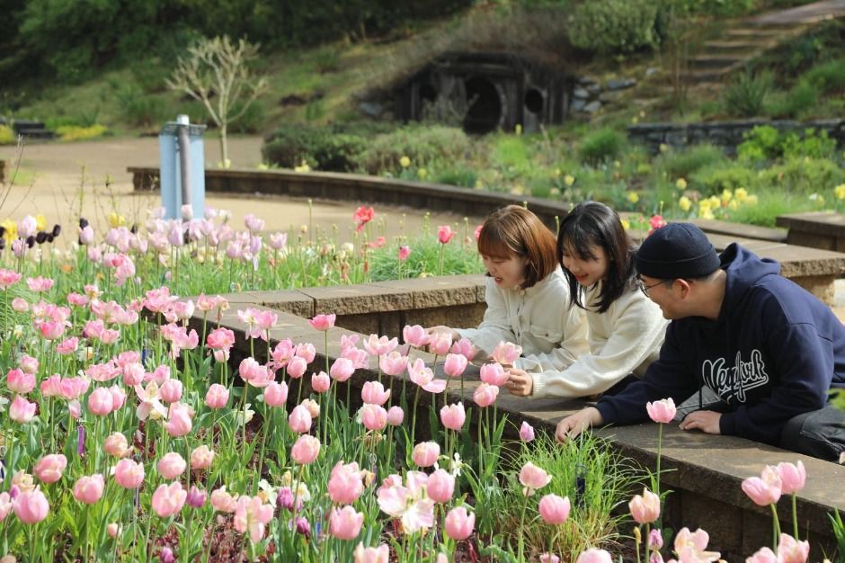 천리포수목원 봄축제