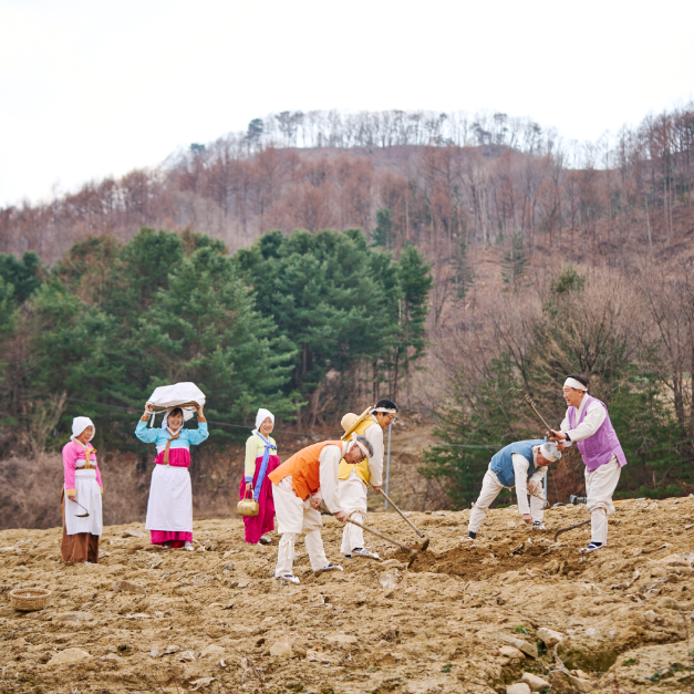 화전민 봄봄축제