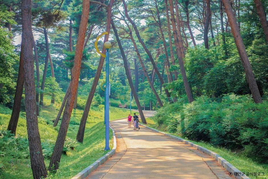안면도수목원