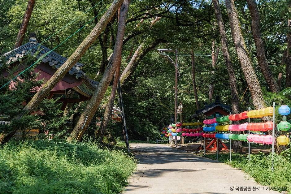 팔공산국립공원(은해사지구)