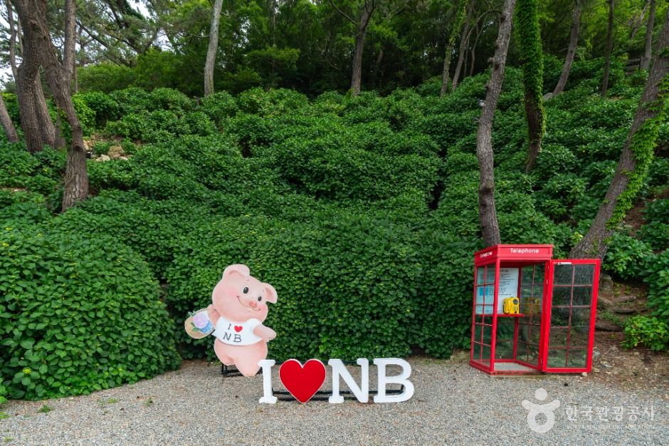 저구항
