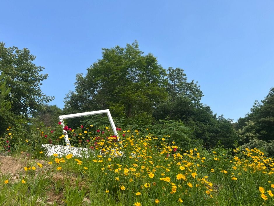 춘천숲자연휴양림