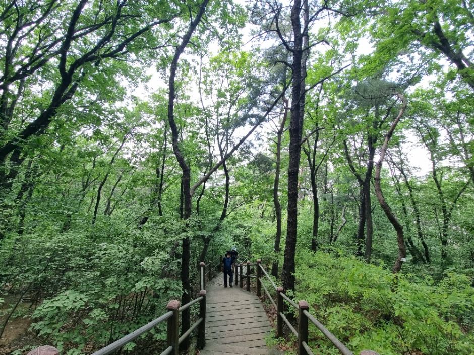 [서울둘레길 9코스] 대모·구룡산코스