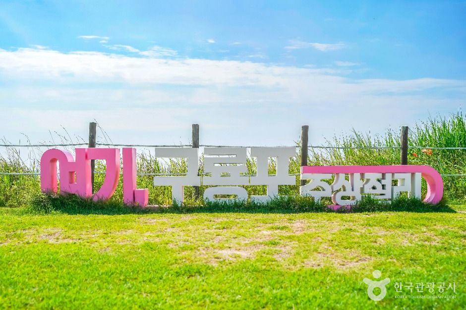 포항_구룡포 주상절리 (4)