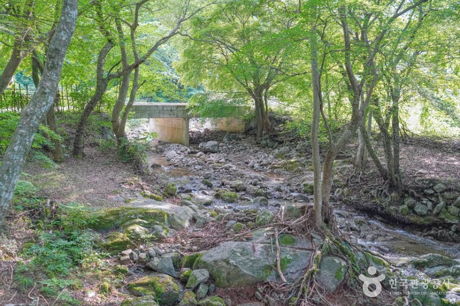 용흥사계곡