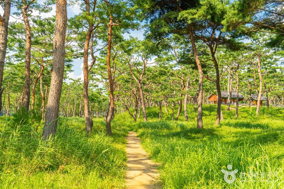 공주 고마나루