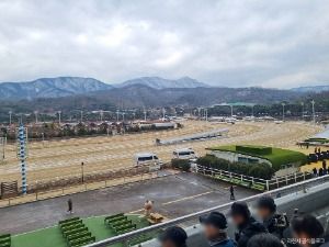 과천_렛츠런파크 서울 (4)