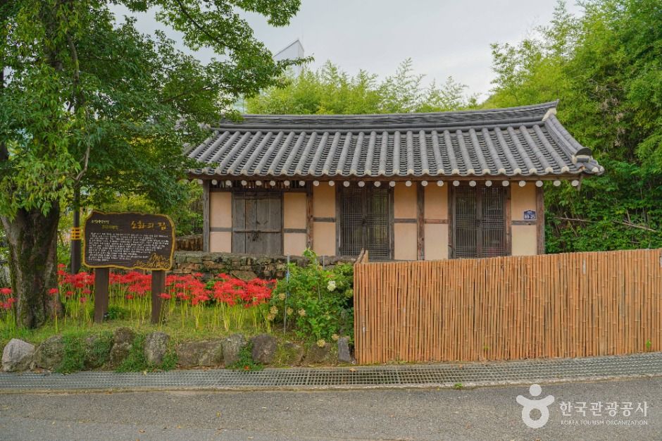 보성_태백산맥 문학기행길 (2)