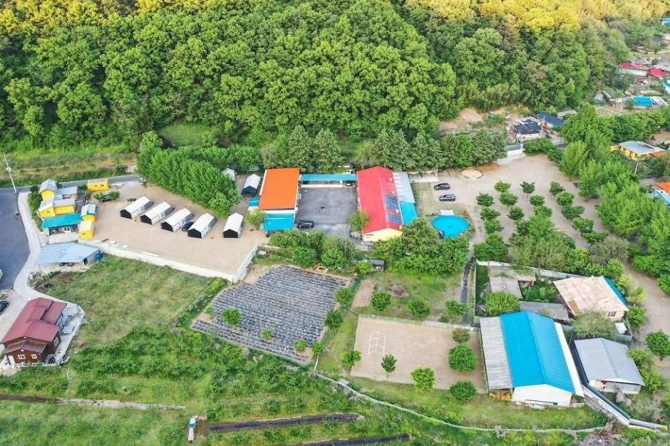 영천_늘푸른체험학교 캠핑장 (5)