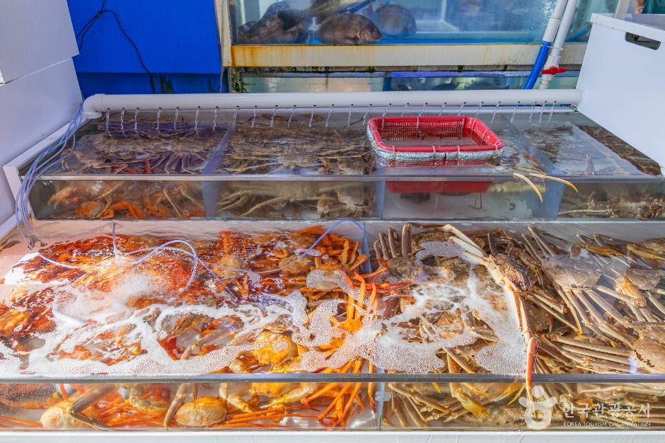 고성_봉포항활어회센터 (5)