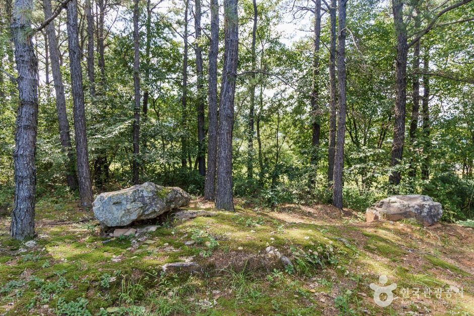 금산 천내리 용화리 고인돌