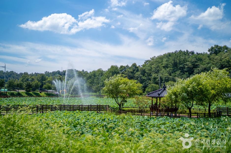 뒷미지수변공원