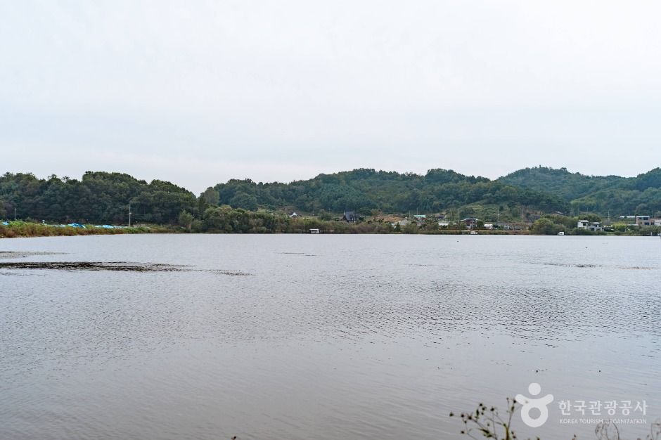 당진_면천낚시터(5)