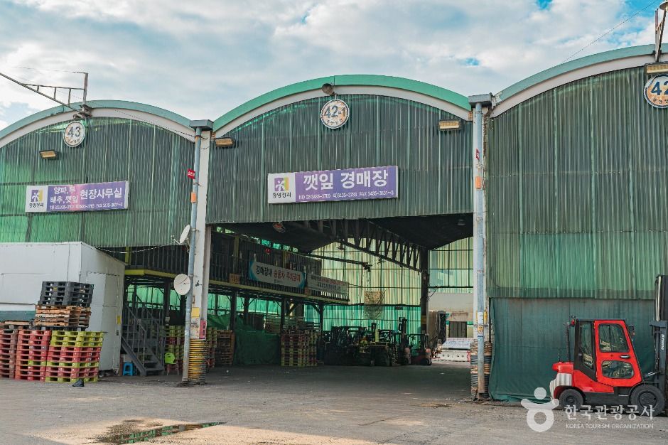 서울_가락농수산물종합도매시장 (3)