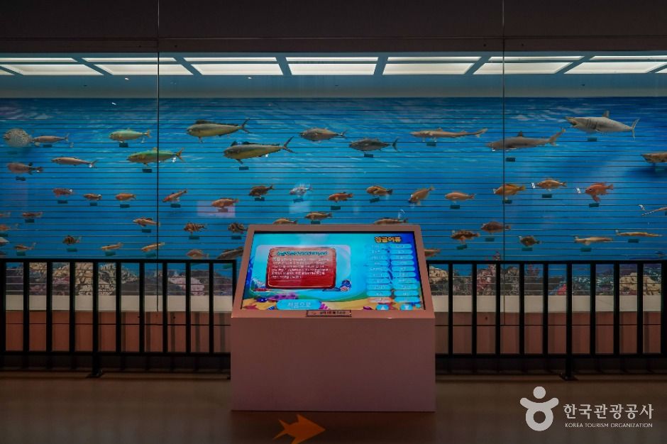 thumbnail-해양생물테마파크-3