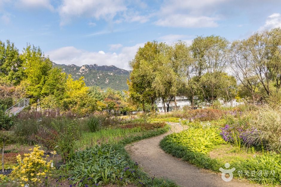 서울_서울창포원 (22)