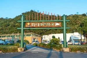 대나무 건강나라