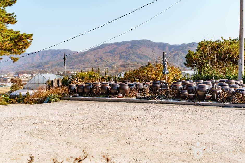 초정솔밭보리밥집카페