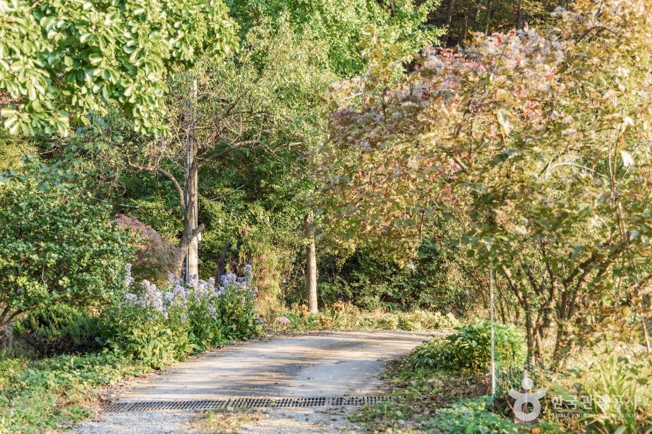 음성_꽃절(화암사) (8)