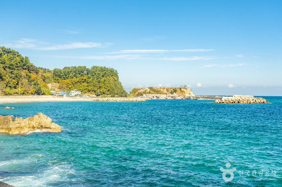 울진_울진 해안도로 (8)