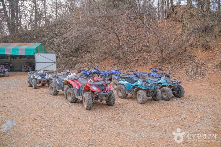 엑스라이프(X-LIFE)