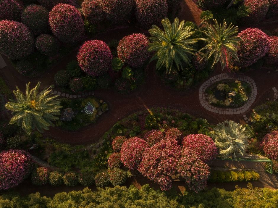 제주동백수목원